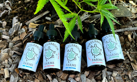 Tincture Taster (1/2 Oz.)